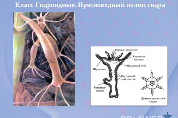 Кракен маркетплейс работает