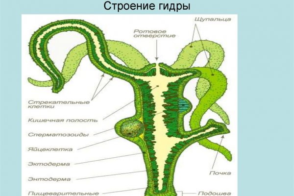 Угнали аккаунт кракен